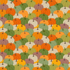 Multicolored pumpkins seamless pattern . Vector illustration of vegetable. Autumn background. Textile design for the kitchen.
