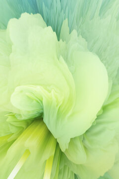 Vivid green color burst in abstract illustration
