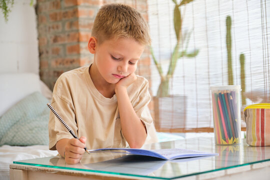 Young boy concentrating on homework in a bright room
