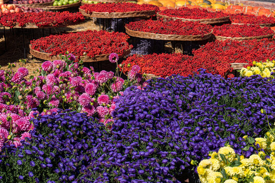 Vibrant outdoor market with colorful flowers and berries