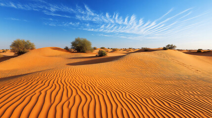 Sand dunes shaped by the wind, creating beautiful patterns.