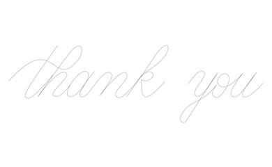 Hand drawn vector path calligraphy of the words 