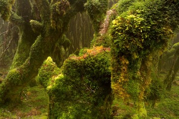 moss goblins