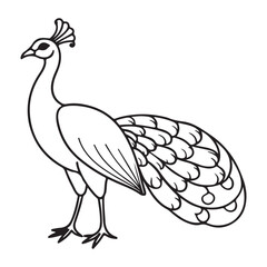 Fototapeta premium vector silhouette image of apeacock on a white background 
