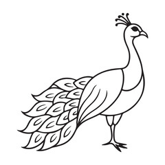 Fototapeta premium vector silhouette image of apeacock on a white background 