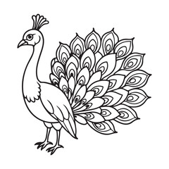 vector silhouette image of apeacock on a white background
