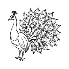 vector silhouette image of apeacock on a white background

