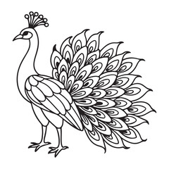 vector silhouette image of apeacock on a white background
