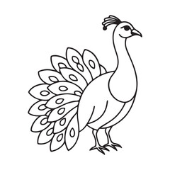 vector silhouette image of apeacock on a white background
