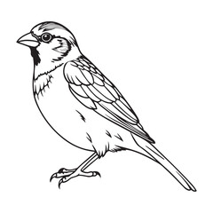 vector silhouette image of a sparrow on a white background
