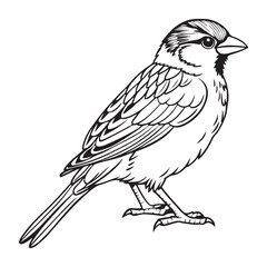 vector silhouette image of a sparrow on a white background
