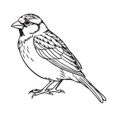 vector silhouette image of a sparrow on a white background
