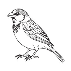 vector silhouette image of a sparrow on a white background
