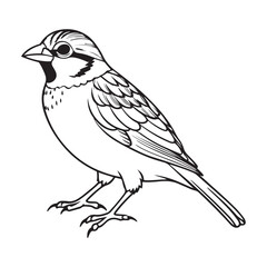vector silhouette image of a sparrow on a white background
