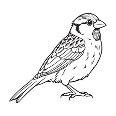 vector silhouette image of a sparrow on a white background
