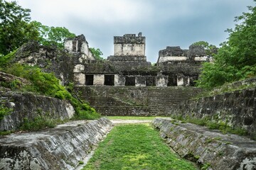 Fototapeta premium An ancient Mayan monument in Tikal National Park, Guatemala, Central America