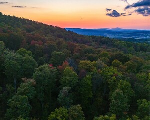 Scenic forested hillside at sunset