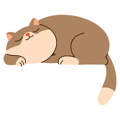 Flat vector illustration in children's style. Cute cat sleeping . Vector illustration