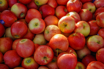 Apples in farmer's market autumn themes.