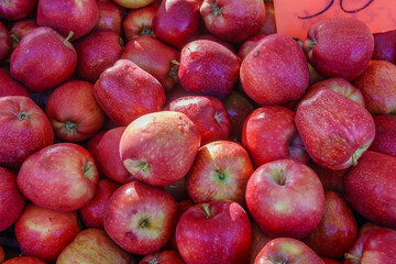 Fresh apples in crates at farmers market