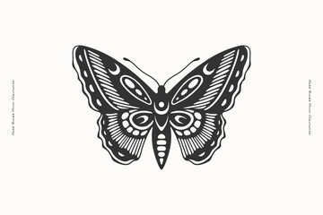 A detailed black and white vector illustration of a butterfly with intricate wing patterns. Ideal for nature-themed designs, tattoos, and artistic projects.