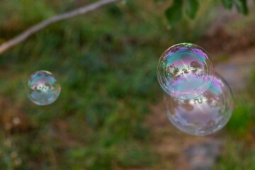 Close-up of soap bubbles floating in the air with reflections of trees and sky in the background