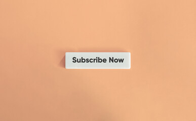 Subscribe Now Call to Action and Banner. Text on Block Letter Tile on Dusty Pink Background....