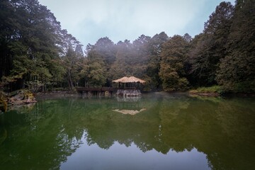 Serene lake with wooden gazebo and lush green trees.