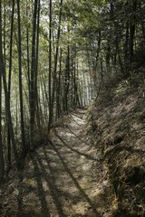 Obraz premium Scenic view of Zhuhai Scenic Area, Mukeng, Sichuan, China