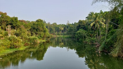 Obraz premium Serene river surrounded by lush green trees and vegetation under a clear sky in Karnataka, India