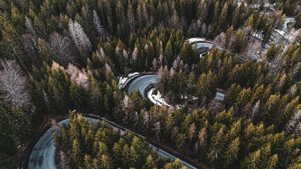 Aerial view of a winding road through a dense forest with evergreen trees