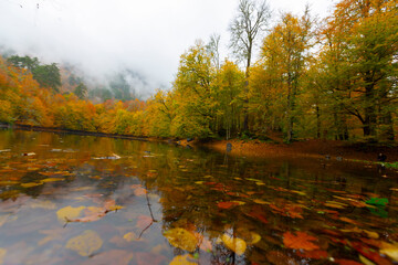 Seven lakes national park natural habitat