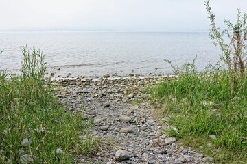 Serene pebble beach with green plants and calm waters.
