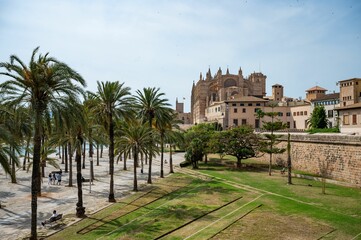 Fototapeta premium Scenic view of Palma Cathedral with palm trees in Palma de Mallorca