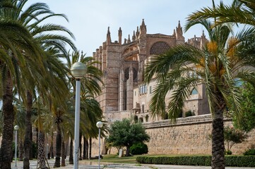 Scenic view of a palm tree-lined park next to the Cathedral of Santa Maria of Palma