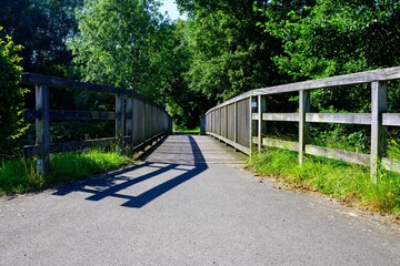 Wooden bridge surrounded by greenery