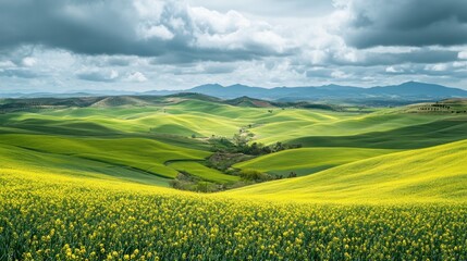 Fototapeta premium Lush green hills with a field of yellow flowers under a cloudy sky.