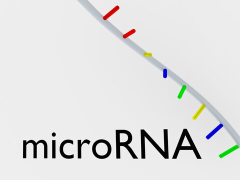 micrRNA - genetic concept