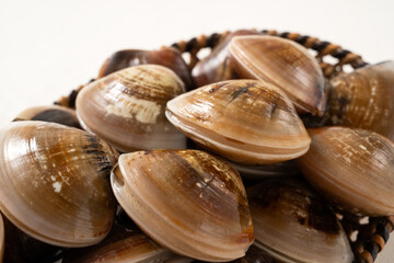 Raw fresh clams seafood in a sieve on white table background.