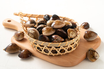 Raw fresh clams seafood in a sieve on white table background.
