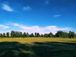 field and blue sky