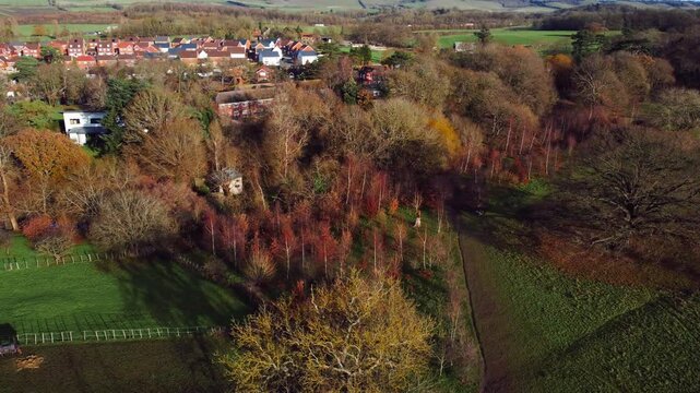 Aerial footage of Bearsted Woodland Trust nature reserve on a sunny day in Bearsted, England