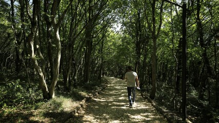 Obraz premium Man walking on a forest path