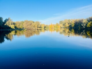Fototapeta premium autumn trees reflection on the lake surface, blue lake reflection, golden autumn, lake in the park with quiet water as a mirror 