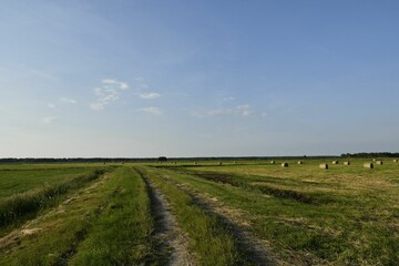 Fototapeta premium Rural landscape with hay bales under blue sky.
