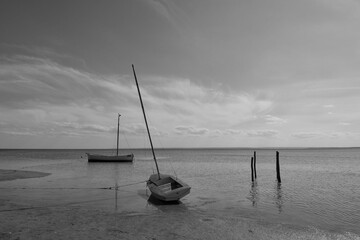 Sailboats on a calm sea in black and white.