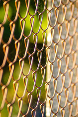 A close-up of a steel fence with sunlight filtering through at sunset, selective focus
