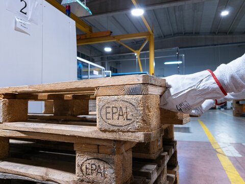 Epal pallet in industrial area