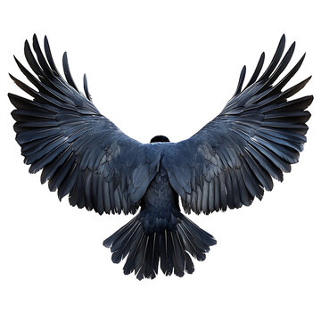 Dark Wings, isolated on a transparent background
