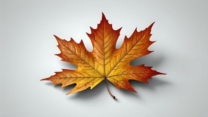 A single vibrant orange maple leaf isolated on a white background.